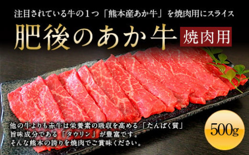 肥後のあか牛 焼肉用 500g (熊本県産和牛) G-4	