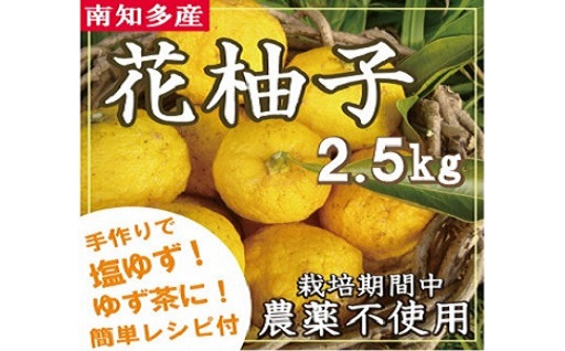 ＜南知多産＞香り豊かな花柚子　2.5kg＜食べきりレシピ付き＞