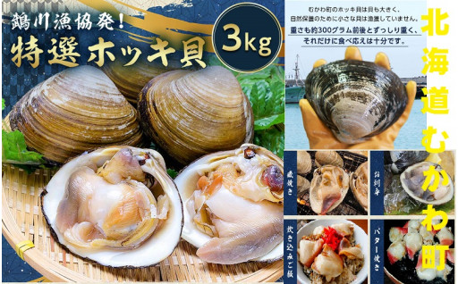 北海道の漁港から新鮮な活ホッキ貝をお届け！