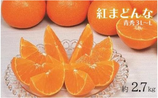 紅まどんな 約2.7kg 青秀3L～Lサイズ（10～15玉）