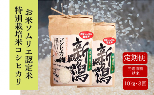 新潟県五泉市のふるさと納税 最新情報一覧【ふるさとチョイス