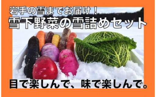 岩手の雪までお届け！雪下野菜の雪詰めセット