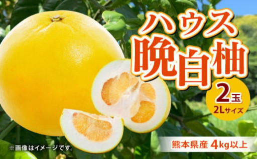 熊本県産 ハウス 晩白柚 2玉 2Lサイズ 4kg以上 果物 ばんぺいゆ