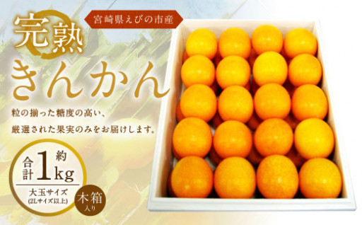 宮崎県えびの市のふるさと納税 最新情報一覧【ふるさとチョイス】 3