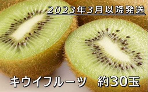 【JA直送品!】キウイフルーツ3.6kg（30玉前後入り）