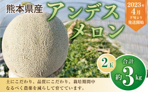 【2023年4月下旬より発送開始】 熊本県産 アンデスメロン 約3kg 2玉