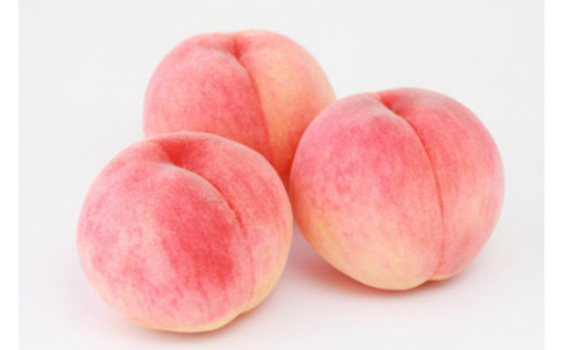 山梨市『２０２３年の桃』冷蔵便にてお届けいたします🍑✨