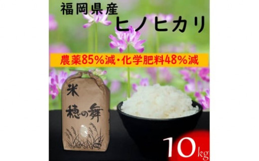 【柳川のお米】レンゲ米 10kg と 麦茶 16P セット 白米 ヒノヒカリ お茶 パック