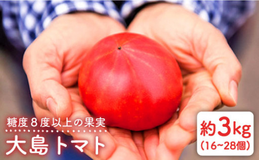 【糖度８度以上の果実】大島トマト 約3kg
