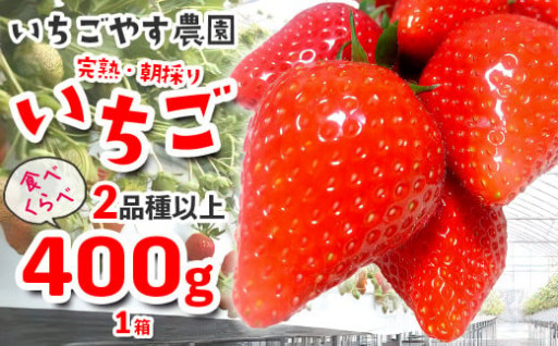 千葉県富津市のふるさと納税 最新情報一覧【ふるさとチョイス】 3ページ目