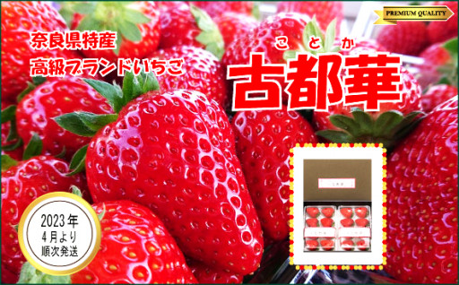 奈良県特産 高級ブランドいちご「古都華」