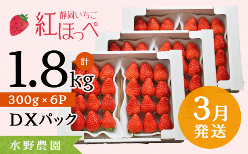 掛川産完熟いちご 紅ほっぺ 300g×6P 1.8ｋｇ