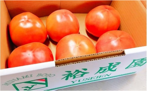 遠赤外線で育てた高糖度トマト　約1.5k