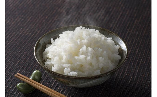 京都丹波産 コシヒカリ 10kg 白米