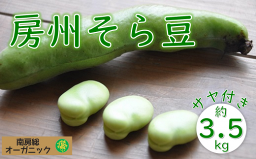【数量限定】安心安全なサヤ付き房州そらまめ 約3.5kg
