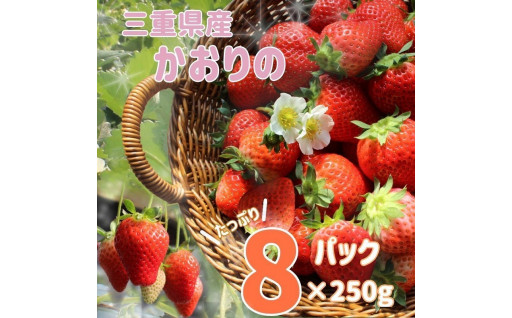 三重の苺 「かおり野」2kg（250g×8P）