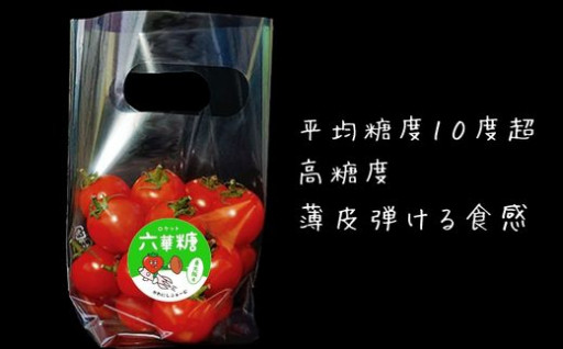 KW-01 六華糖（ろけっと）トマト