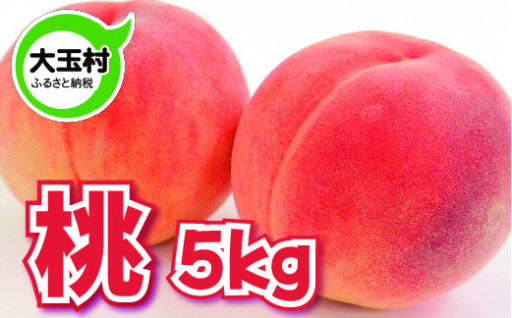 令和5年分 先行予約★大玉村産 桃 約5kg（15-18玉入）★7月下旬以降順次発送！