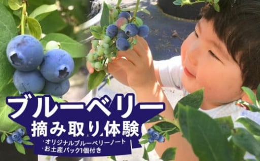 家族で楽しくブルーベリー狩り