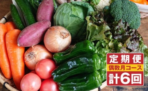 野菜のプロ40年が届ける 厳選野菜セット！