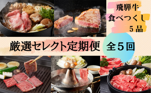 飛騨牛 食べつくし 厳選セレクト定期便 全１０回