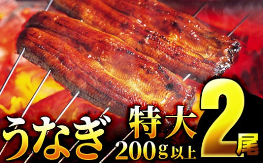 なんと一尾200g以上!!!を2尾◎特選!!肉厚!!特選うなぎ