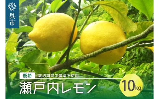 呉市大崎下島産 栽培期間中農薬不使用 瀬戸内レモン 10kg