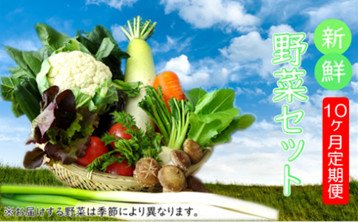 季節の野菜詰め合わせ【10ヵ月定期便】