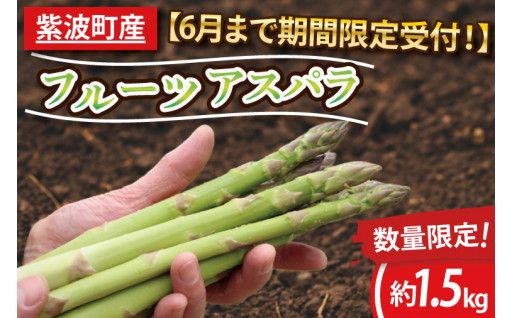 【6月まで期間限定受付！】紫波町産フルーツアスパラ　約1.5kg