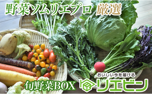野菜ソムリエプロ厳選！こだわりの旬野菜BOX「リエビン」季節の野菜セット
