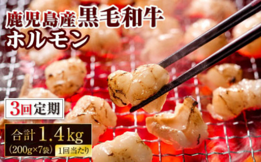【3回定期】 鹿児島産 黒毛和牛 ホルモン （小腸） 合計 1.4kg
