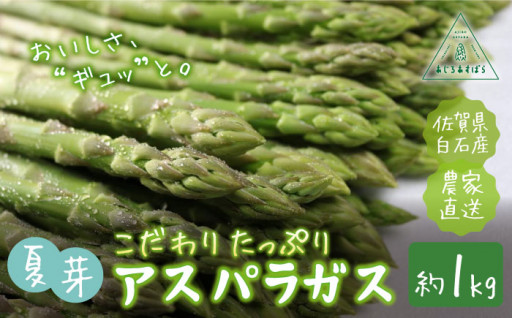 【農家直送】こだわりたっぷり夏芽アスパラガス！