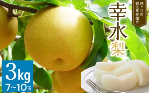 【幸水 約3kg】かまがや育ちの完熟梨