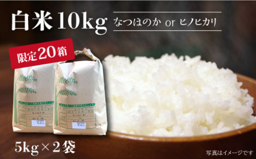  【先行予約☆数量限定】 白米 （ なつほのか or ヒノヒカリ ） 10kg （5kg×2袋）