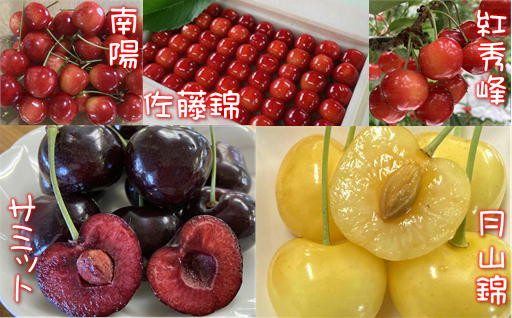 日本最北の果樹産地『フルーツの里ましけ』絶賛!!受付中