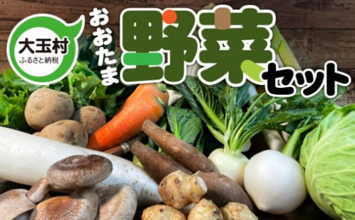 「お試し野菜セット」大玉村産・旬の野菜（10種類前後）【野菜詰め合わせ】