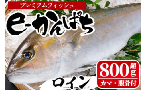 【期間限定】活き〆 「ｅ－かんぱち」ロイン２節