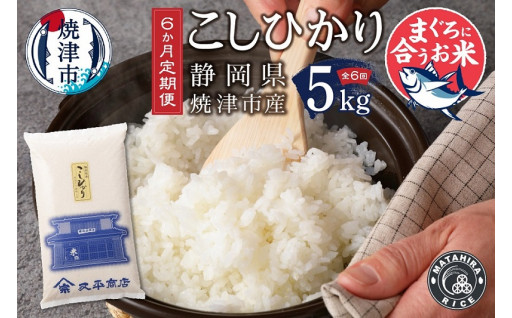 マグロに合う焼津のお米 こしひかり 5kg【定期便】
