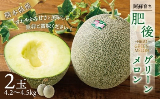 【2023年7月上旬より順次発送】 肥後グリーンメロン 2玉 (4.2～4.5kg) 