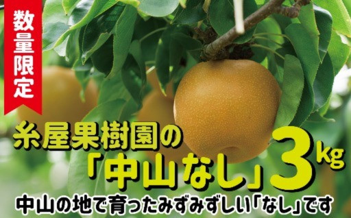 秋田県大館市のふるさと納税 最新情報一覧【ふるさとチョイス】