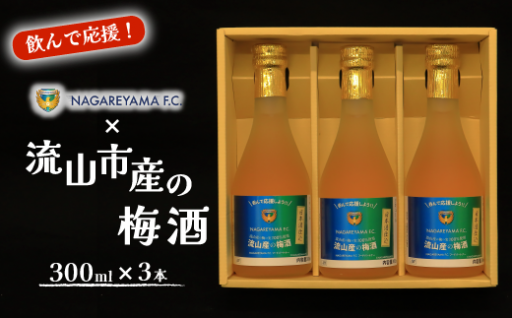 千葉県流山市のふるさと納税 最新情報一覧【ふるさとチョイス】 2ページ目