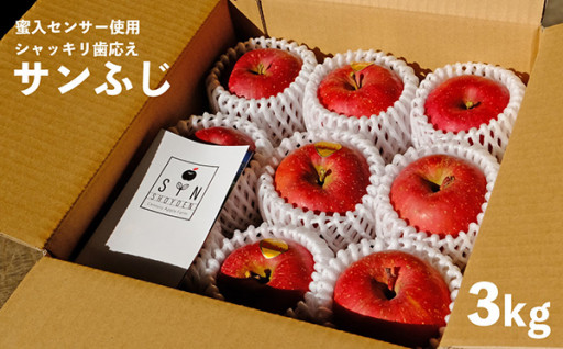 【先行予約】松陽園 樹上完熟 りんご 蜜入り保証 サンふじ 3kg 岩手県遠野市