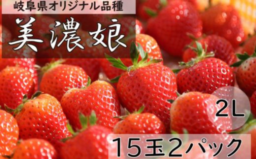 岐阜県岐阜市のふるさと納税 最新情報一覧【ふるさとチョイス】 2ページ目