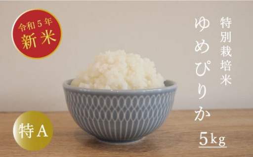 令和5年産新米🌾舟山農産特別栽培米ゆめぴりか