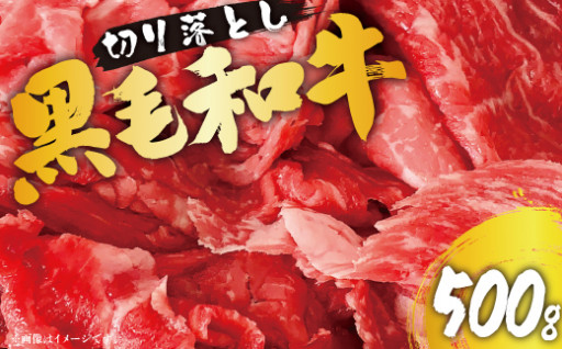  チョイス限定👆 宮崎県産黒毛和牛【黒毛和牛ひなた】バラ切り落とし500g【A289】