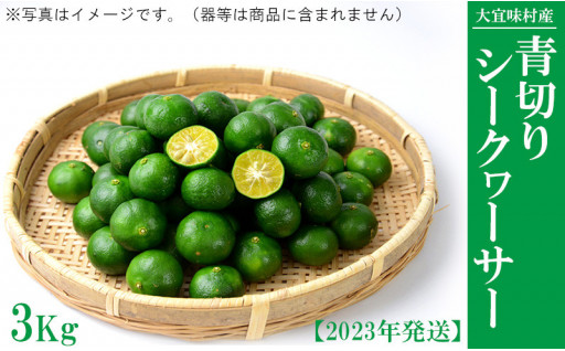 大宜味村　青切りシークワーサー 3Kg【2023年発送】