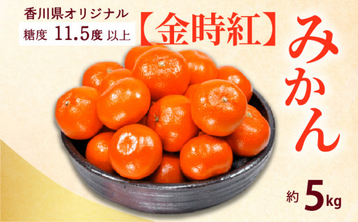 【香川県三豊市】香川県オリジナルみかん🍊 「金時紅」 約5kg