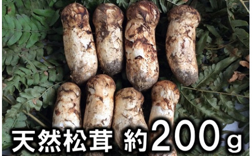 サラダすき昆布200ｇ×２袋【お手軽 ヘルシー】 - 岩手県普代村