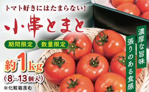 レンジで3分！ 長崎 ちゃんぽん 6個入〈常温保管可〉【つくも食品