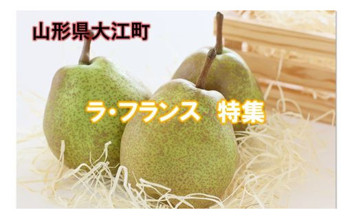 大江町産原料使用 やまがたさくらんぼスパークリング375ml×3本 [№5823